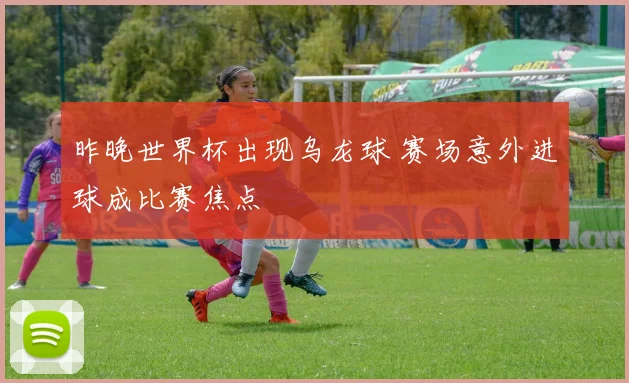 昨晚世界杯出现乌龙球 赛场意外进球成比赛焦点