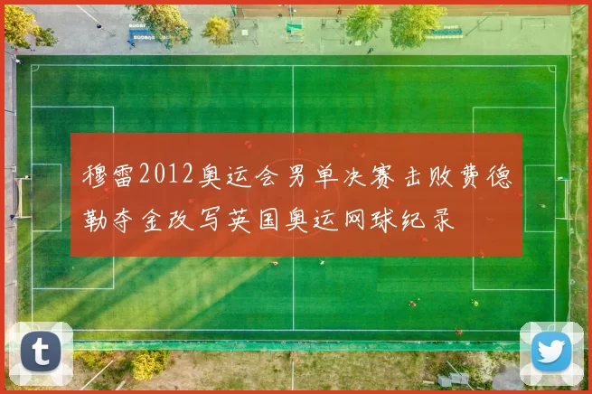 穆雷2012奥运会男单决赛击败费德勒夺金改写英国奥运网球纪录